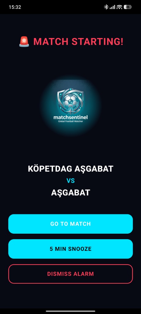MatchSentinel Siren Alarm Screen